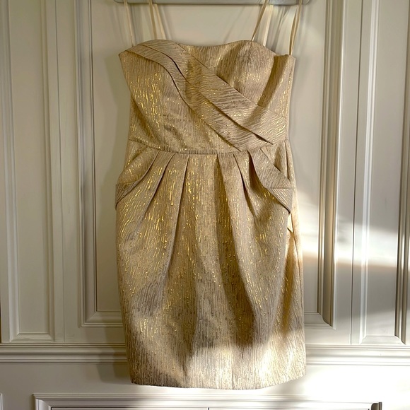 Max and Cleo | Strapless Champagne Gold Dress with Pockets - size 10 - Picture 2 of 9